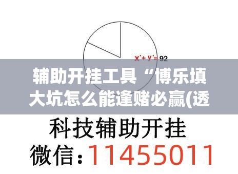 辅助开挂工具“博乐填大坑怎么能逢赌必赢(透视)”开挂辅助脚本+详细开挂安装教程