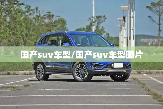 国产suv车型/国产suv车型图片