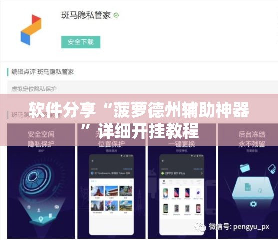 软件分享“菠萝德州辅助神器”详细开挂教程