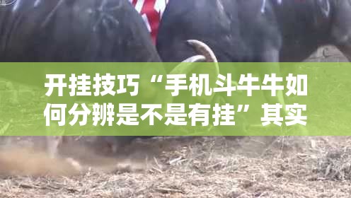 开挂技巧“手机斗牛牛如何分辨是不是有挂”其实确实有挂
