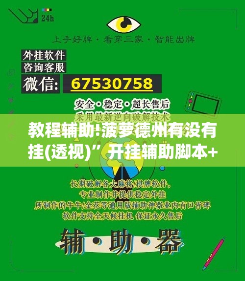 教程辅助!菠萝德州有没有挂(透视)”开挂辅助脚本+详细开挂安装教程