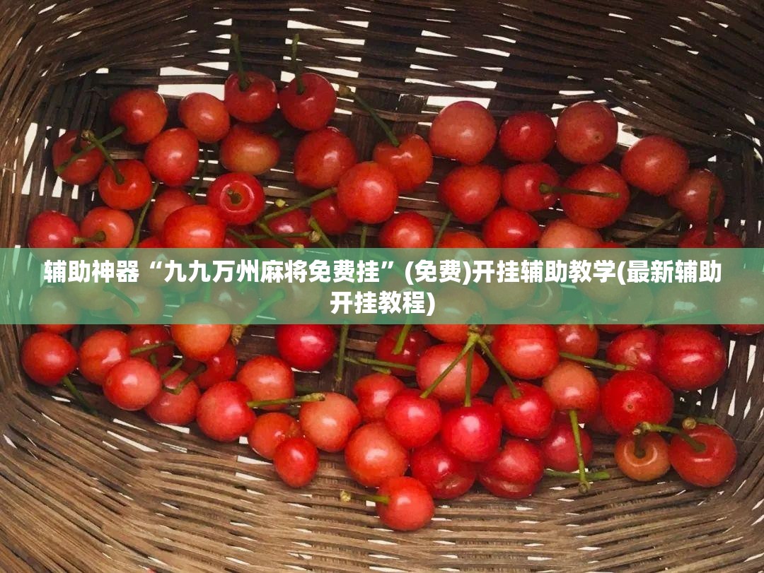 辅助神器“九九万州麻将免费挂”(免费)开挂辅助教学(最新辅助开挂教程)