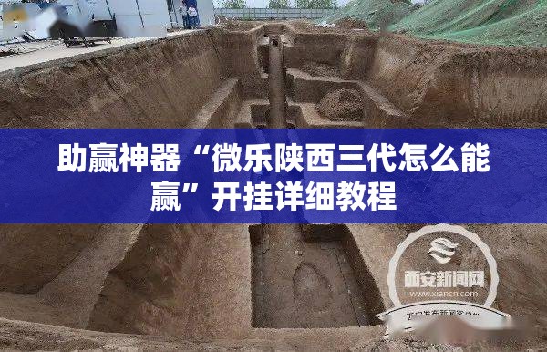 助赢神器“微乐陕西三代怎么能赢”开挂详细教程