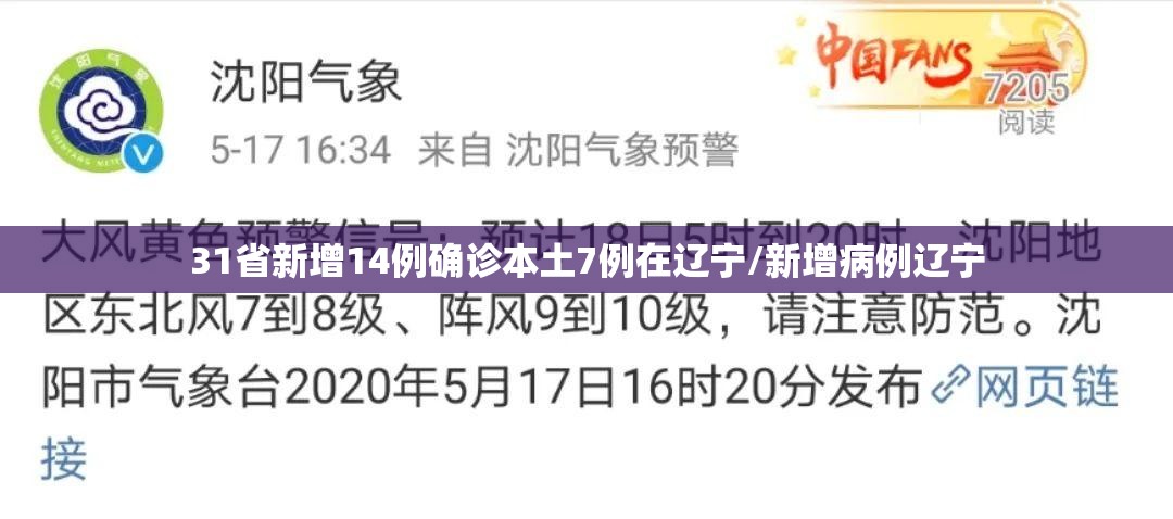 31省新增14例确诊本土7例在辽宁/新增病例辽宁 31省新增14例确诊本土7例在辽宁/新增病例辽宁