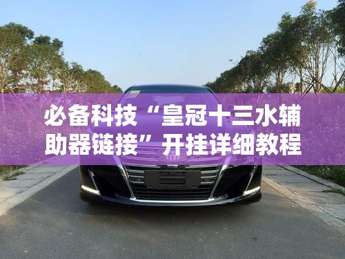必备科技“皇冠十三水辅助器链接”开挂详细教程