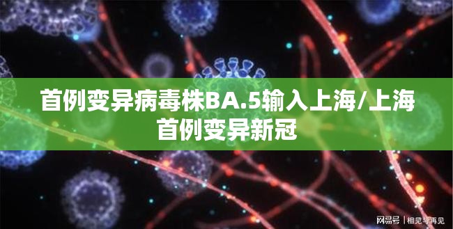 首例变异病毒株BA.5输入上海/上海首例变异新冠