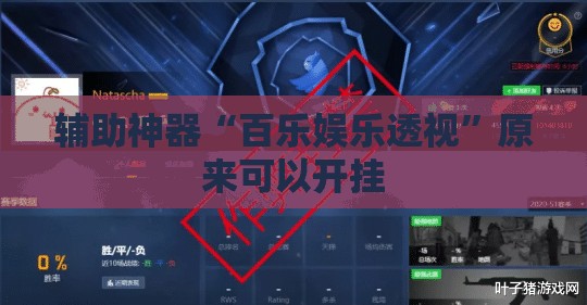 辅助神器“百乐娱乐透视”原来可以开挂