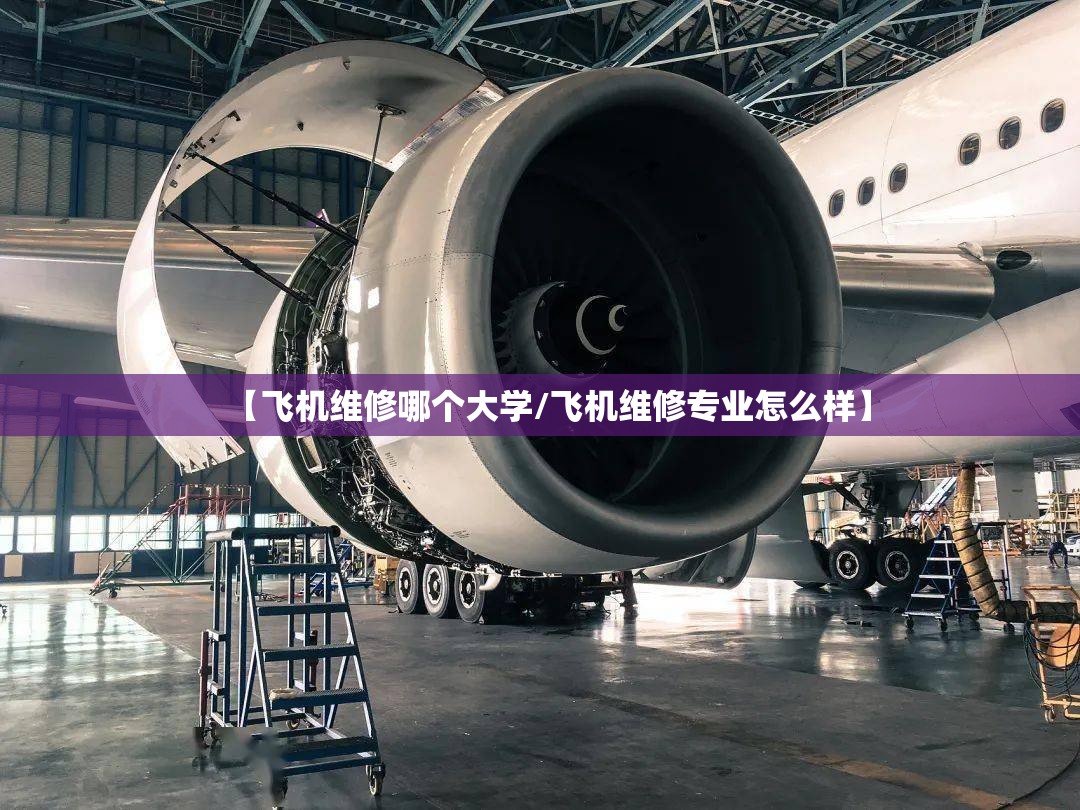 【飞机维修哪个大学/飞机维修专业怎么样】