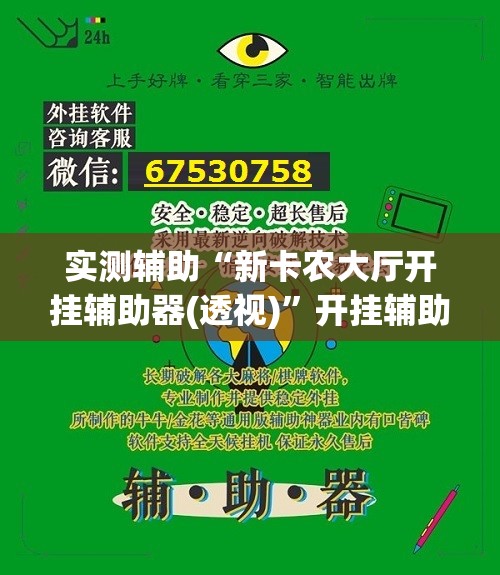 实测辅助“新卡农大厅开挂辅助器(透视)”开挂辅助脚本+详细开挂安装教程