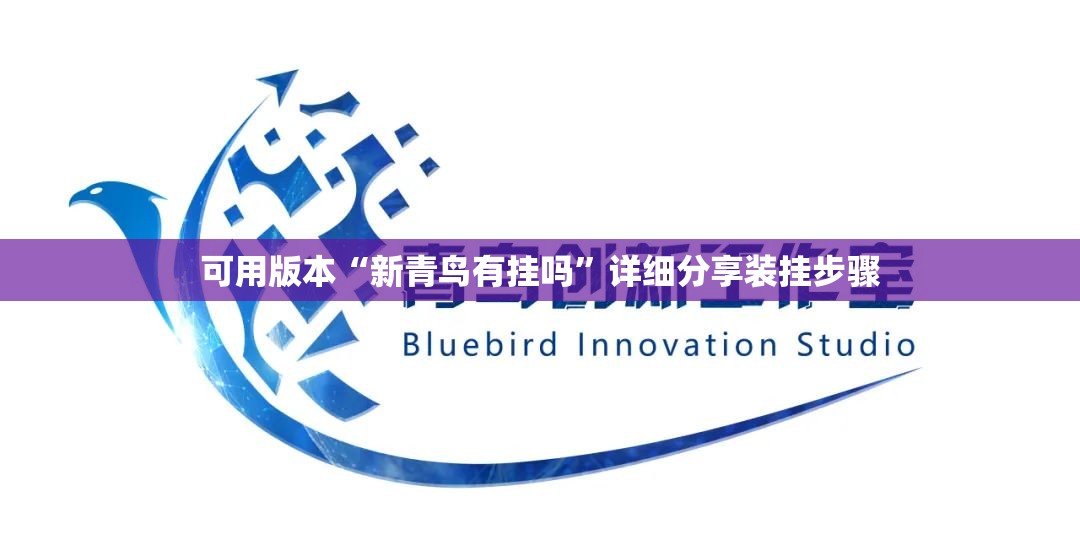 可用版本“新青鸟有挂吗”详细分享装挂步骤