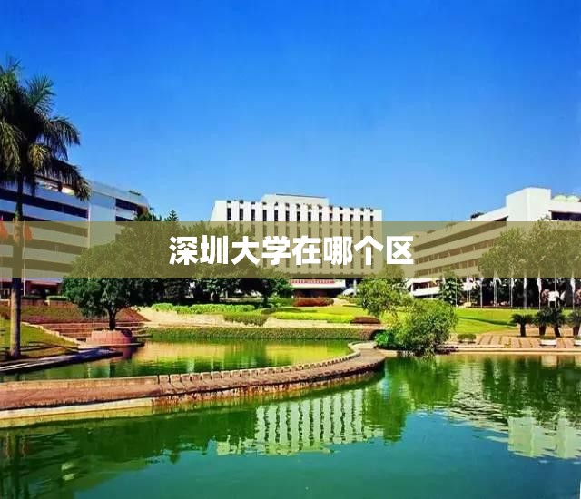 深圳大学在哪个区:深圳大学哪个区的