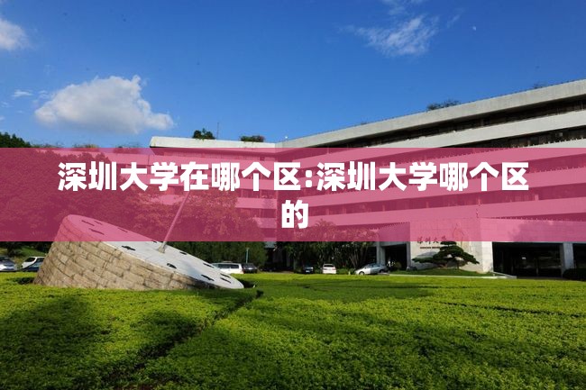 深圳大学在哪个区:深圳大学哪个区的