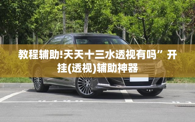 教程辅助!天天十三水透视有吗”开挂(透视)辅助神器
