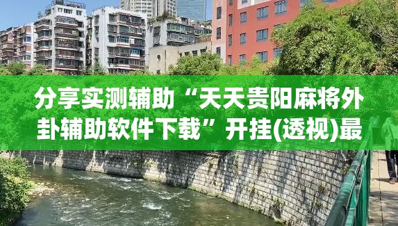 分享实测辅助“天天贵阳麻将外卦辅助软件下载”开挂(透视)最新辅助详细