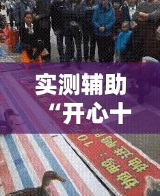 实测辅助“开心十三张万能开挂神器”详细开挂教程