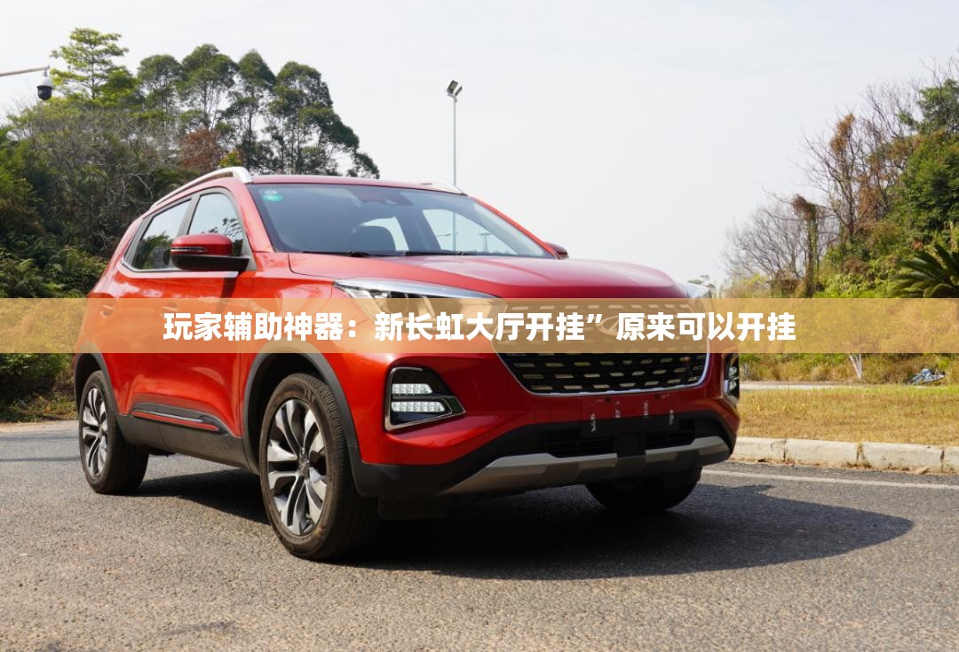 玩家辅助神器：新长虹大厅开挂	”原来可以开挂