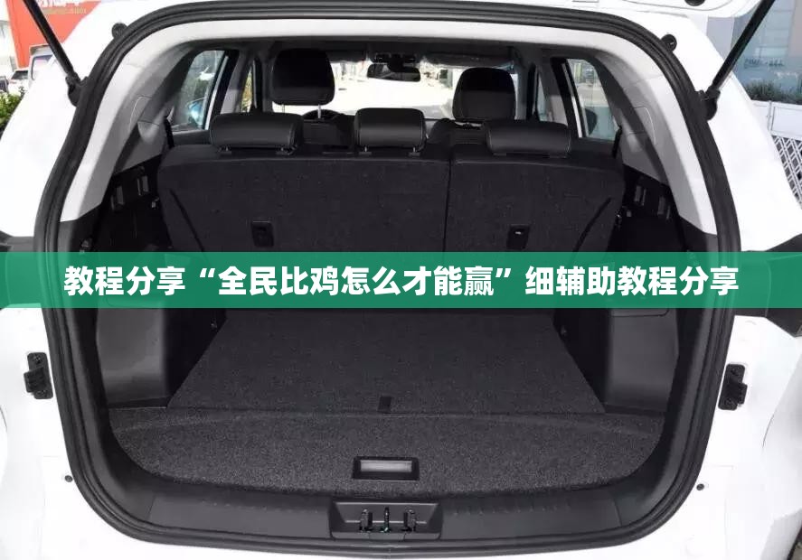 教程分享“全民比鸡怎么才能赢	”细辅助教程分享