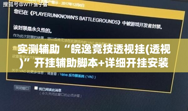 实测辅助“皖逸竞技透视挂(透视)”开挂辅助脚本+详细开挂安装教程
