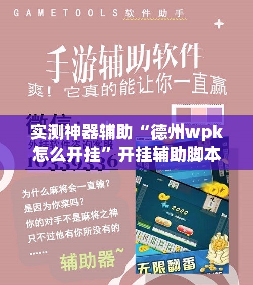 实测神器辅助“德州wpk怎么开挂”开挂辅助脚本+详细开挂安装教程