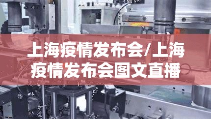 上海疫情发布会/上海疫情发布会图文直播