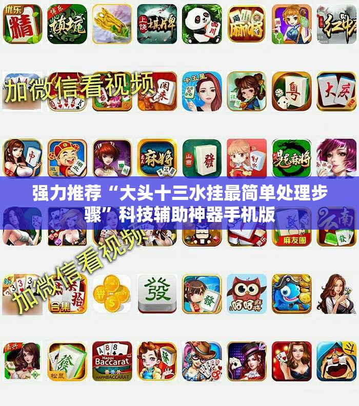 强力推荐“大头十三水挂最简单处理步骤”科技辅助神器手机版