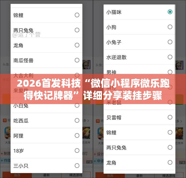 2026首发科技“微信小程序微乐跑得快记牌器	”详细分享装挂步骤