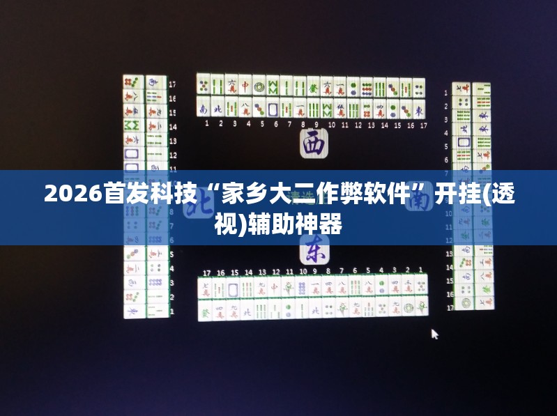 2026首发科技“家乡大二作弊软件”开挂(透视)辅助神器