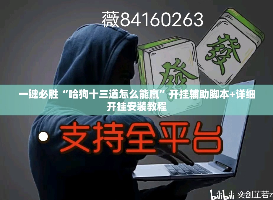 一键必胜“哈狗十三道怎么能赢”开挂辅助脚本+详细开挂安装教程
