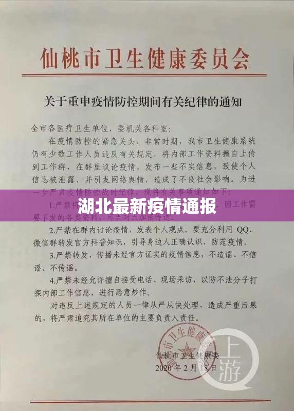 湖北最新疫情通报/湖北最新疫情情况通报