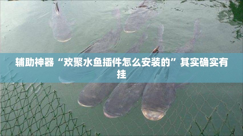 辅助神器“欢聚水鱼插件怎么安装的”其实确实有挂