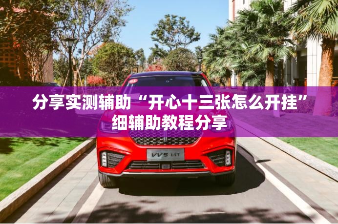 分享实测辅助“开心十三张怎么开挂”细辅助教程分享