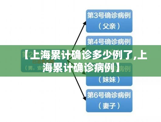 【上海累计确诊多少例了,上海累计确诊病例】