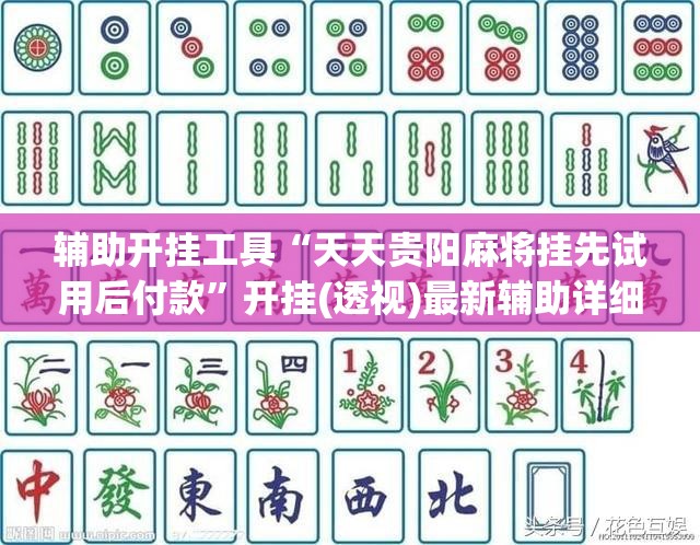 辅助开挂工具“天天贵阳麻将挂先试用后付款”开挂(透视)最新辅助详细