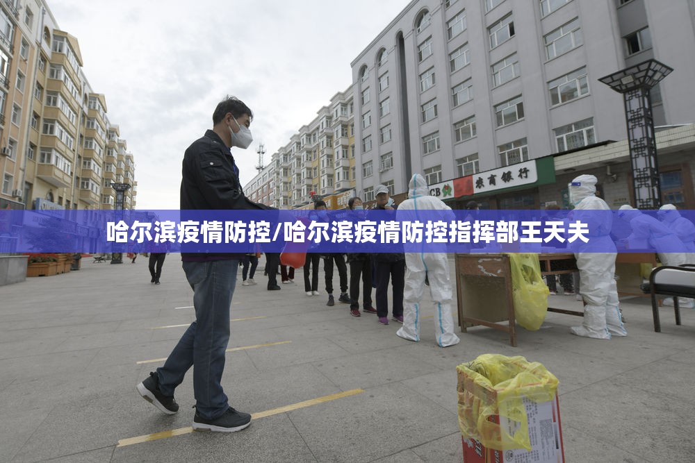 哈尔滨疫情防控/哈尔滨疫情防控指挥部王天夫