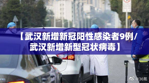【武汉新增新冠阳性感染者9例/武汉新增新型冠状病毒】