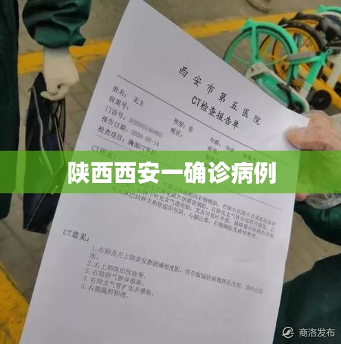 陕西西安一确诊病例/陕西西安确诊病历