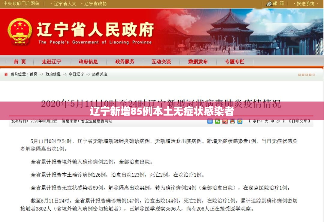 辽宁新增85例本土无症状感染者/辽宁新增85例本土无症状感染者是哪里的