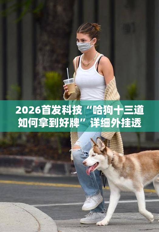2026首发科技“哈狗十三道如何拿到好牌”详细外挂透视辅助软件教程