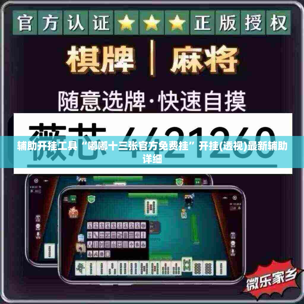 辅助开挂工具“嘟嘟十三张官方免费挂”开挂(透视)最新辅助详细