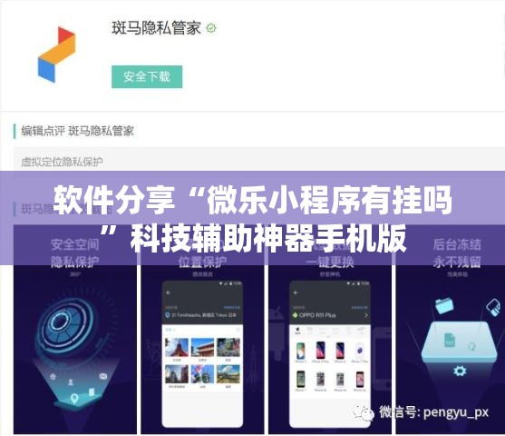 软件分享“微乐小程序有挂吗”科技辅助神器手机版
