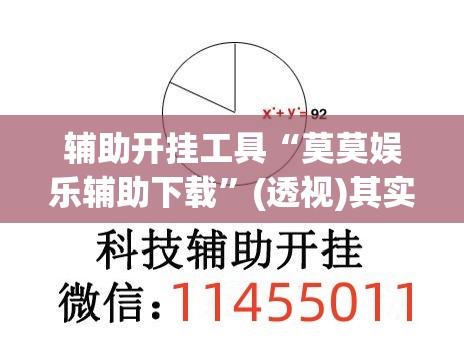 辅助开挂工具“莫莫娱乐辅助下载”(透视)其实确实有挂