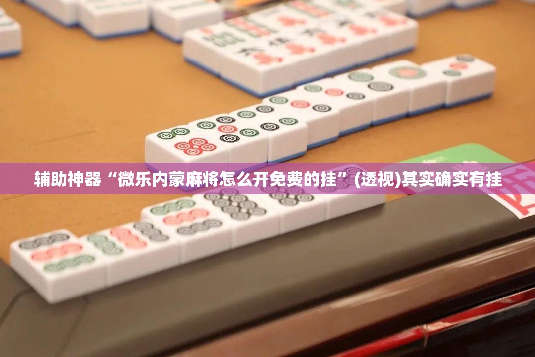 辅助神器“微乐内蒙麻将怎么开免费的挂”(透视)其实确实有挂