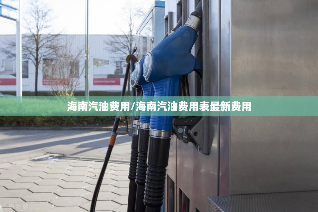 海南汽油费用/海南汽油费用表最新费用
