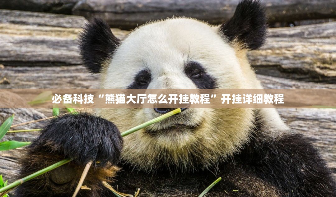 必备科技“熊猫大厅怎么开挂教程”开挂详细教程