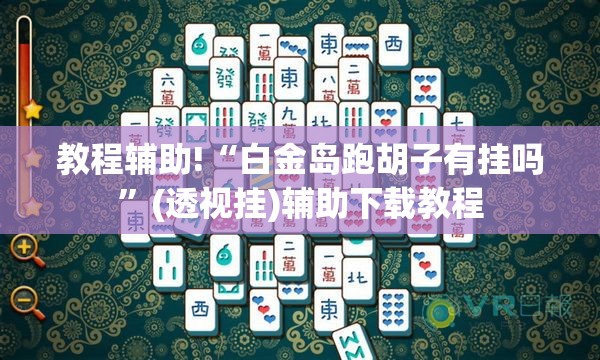 教程辅助!“白金岛跑胡子有挂吗”(透视挂)辅助下载教程