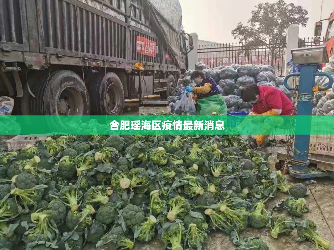 合肥瑶海区疫情最新消息（合肥市瑶海区确诊）