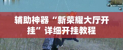 辅助神器“新荣耀大厅开挂”详细开挂教程