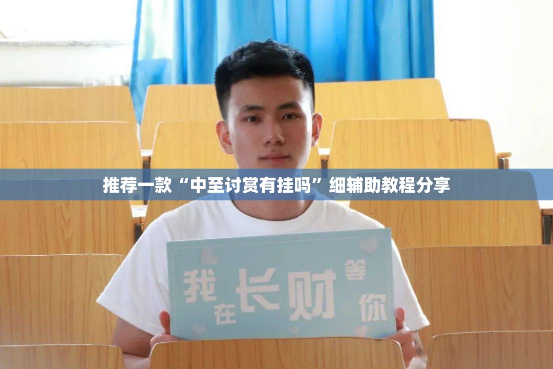 推荐一款“中至讨赏有挂吗”细辅助教程分享