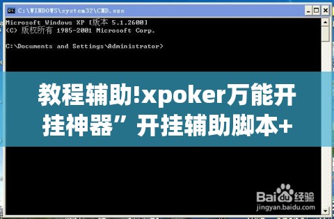 教程辅助!xpoker万能开挂神器”开挂辅助脚本+详细开挂安装教程