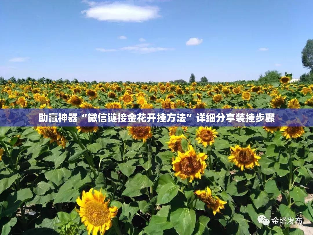助赢神器“微信链接金花开挂方法”详细分享装挂步骤